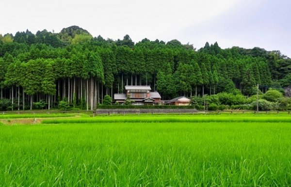 日本的城市有哪些