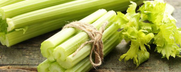 芹菜馅的包子怎么做