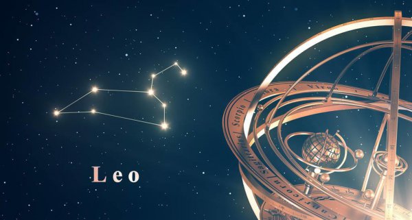 狮子女喜欢的四种男人