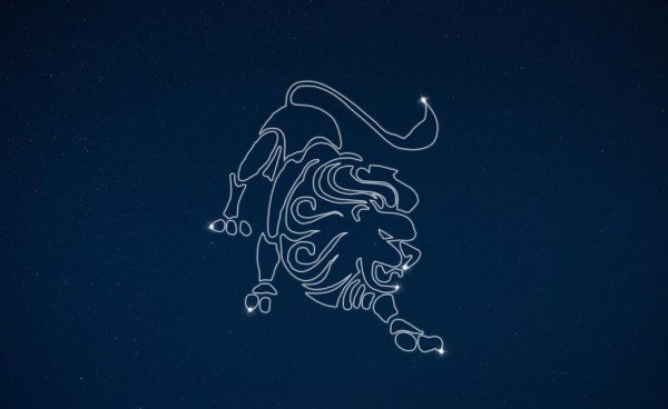 狮子女喜欢的四种男人