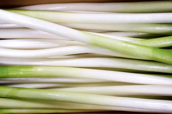 大葱葱白细短怎么办
