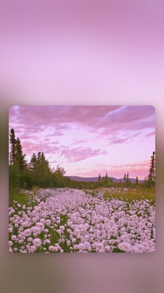 反问的修辞手法的作用