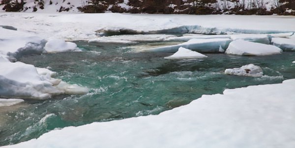 北大仓是指我国哪个省