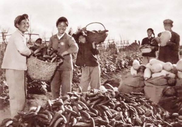 北大仓是指我国哪个省