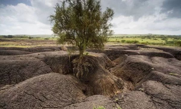 北大仓是指我国哪个省