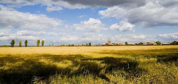 北大仓是指我国哪个省