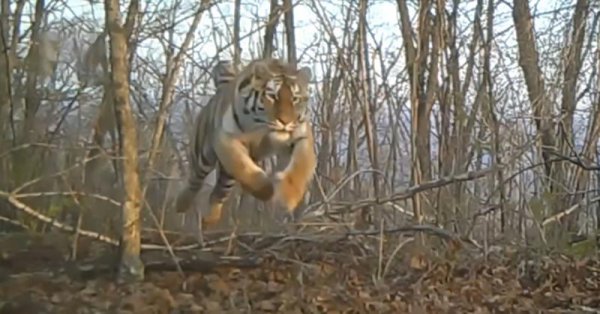 北大仓是指我国哪个省