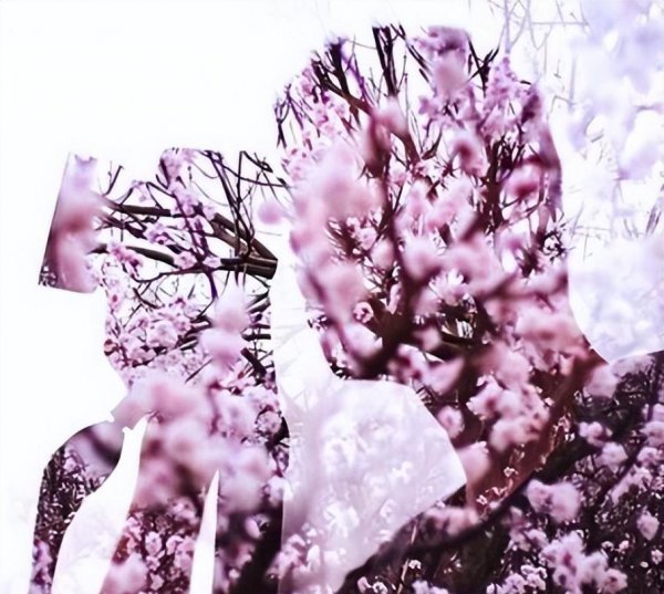 低学历最吃香的男生十大手艺