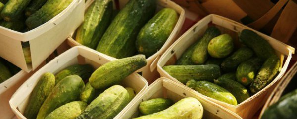 夏天适合种什么蔬菜