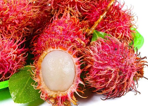 红毛丹是热带水果吗