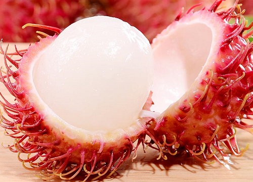 红毛丹是热带水果吗