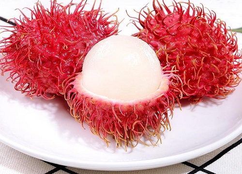 红毛丹是热带水果吗