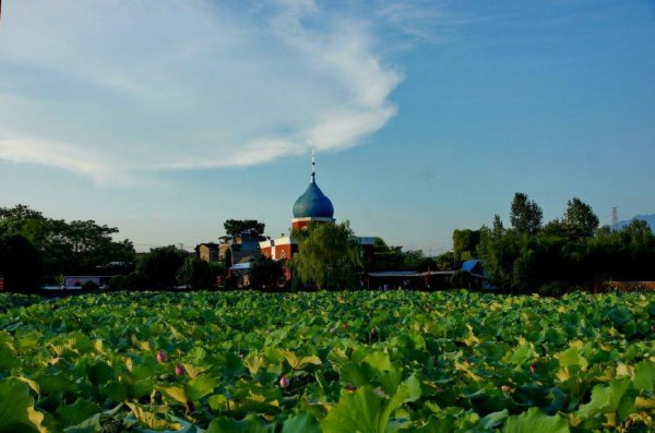 光泽县属于哪个省哪个市