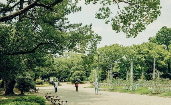 出国留学的优缺点