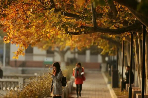 南开大学在哪个城市