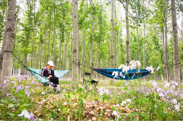 蜱虫一般生活在什么地方
