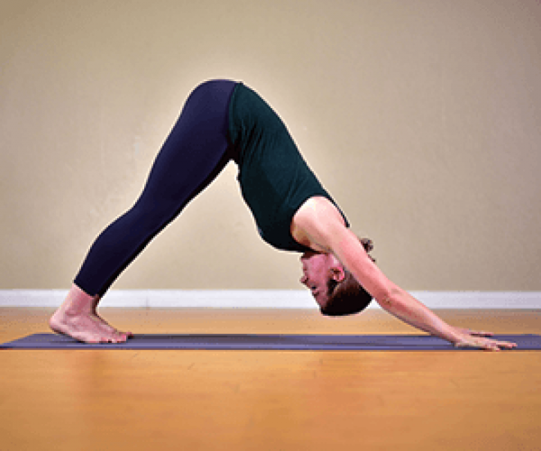 十个最简单的瑜伽动作