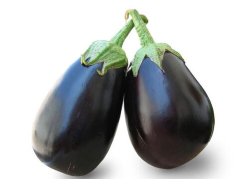 适合无土栽培的蔬菜品种