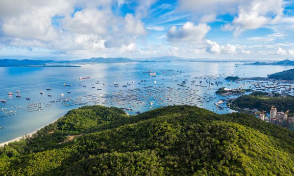 阳江市属于哪个省份