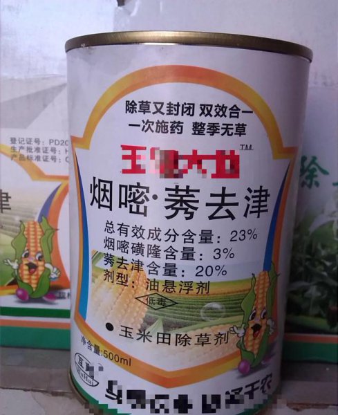 米苗后的除草药什么时候打合适