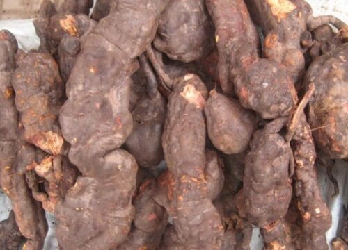 何首乌和制首乌的区别