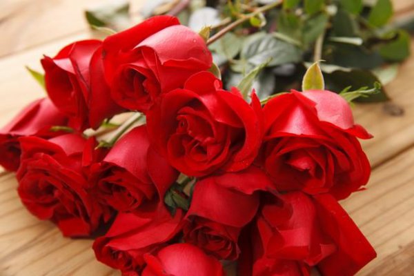 玫瑰花语每种颜色代表什么花语