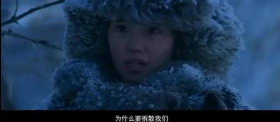 刘浩存电影作品