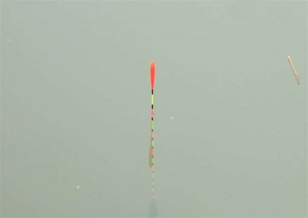 怎样调鱼漂调漂最准确