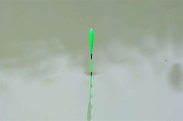 怎样调鱼漂调漂最准确