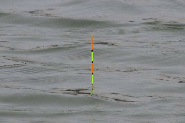 怎样调鱼漂调漂最准确