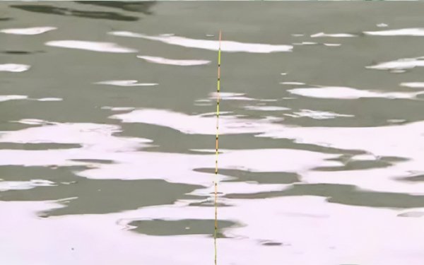 怎样调鱼漂调漂最准确