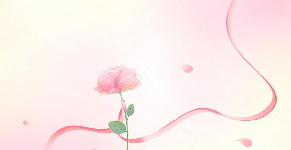 粉红色玫瑰代表什么意思