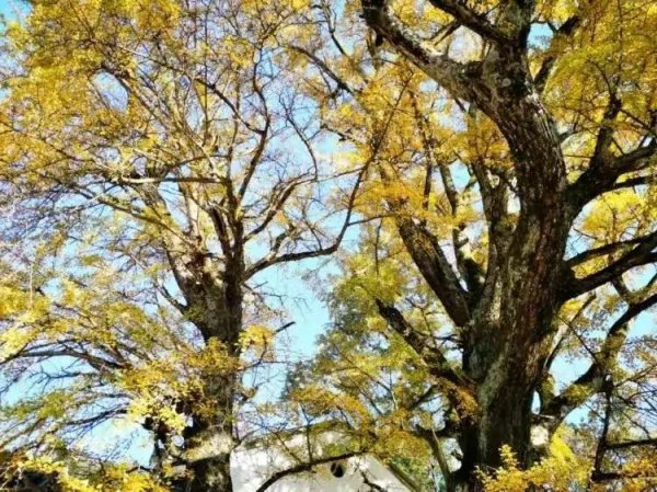 衡阳景点排名前十名