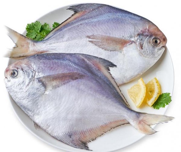 深海鱼有哪些品种