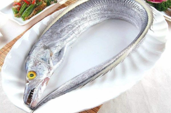 深海鱼有哪些品种