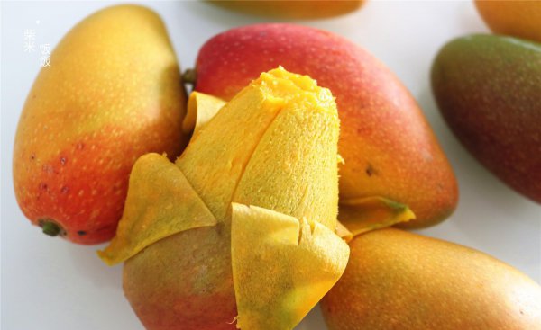 芒果哪个品种最好吃