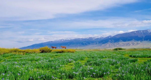 毛乌素沙漠在哪里