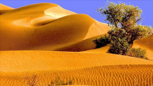 毛乌素沙漠在哪里