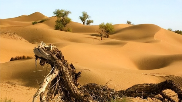 毛乌素沙漠在哪里