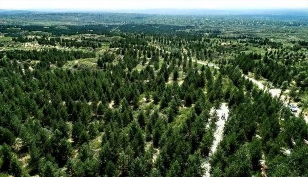 毛乌素沙漠在哪里