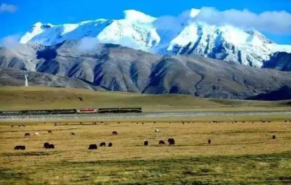 坐哪趟火车进藏比较好
