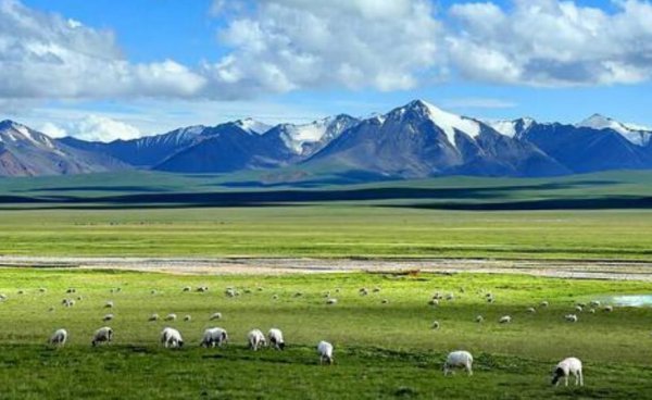 坐哪趟火车进藏比较好