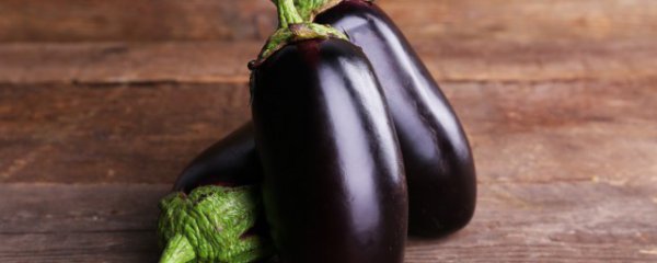 怎么做煎茄子好吃