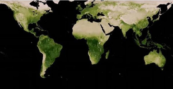 中国最大的森林是哪里