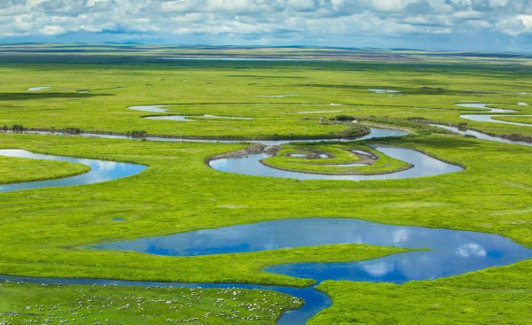 中国四大草原介绍