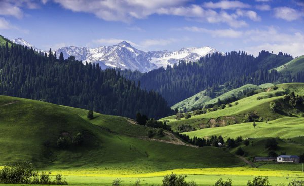 中国四大草原介绍