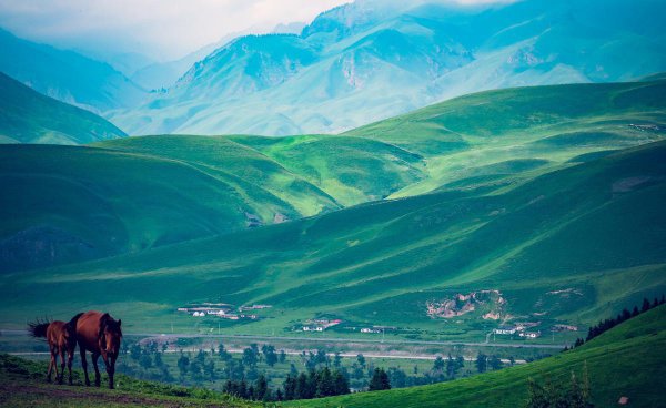 中国四大草原介绍