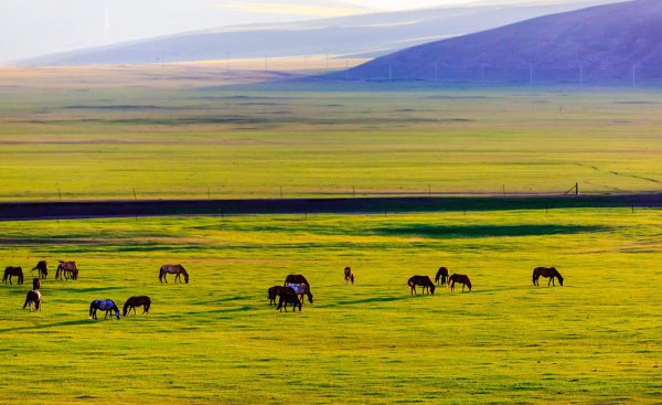 中国四大草原介绍