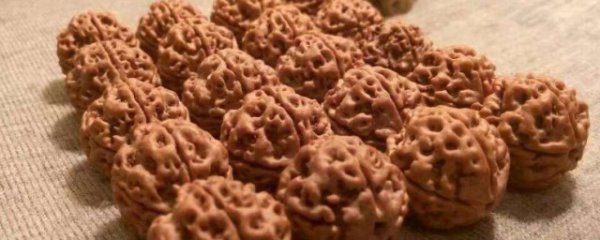 佩戴金刚菩提子有什么好处