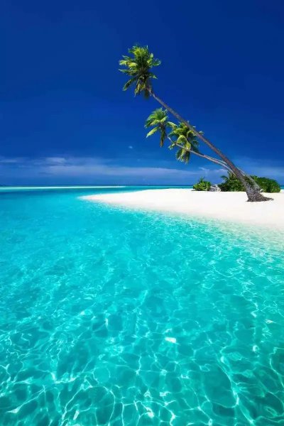 罗翔经典语录100句